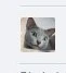 SharedScreenshot.webp