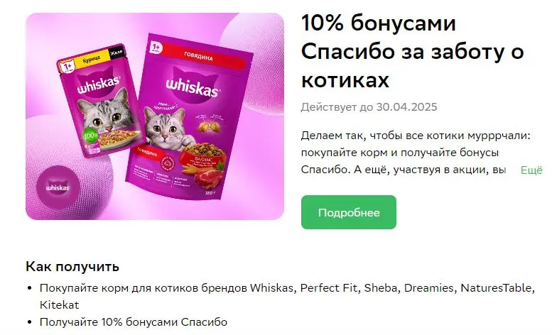 шеба.webp