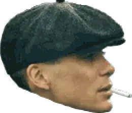 shelby_t2_face.webp