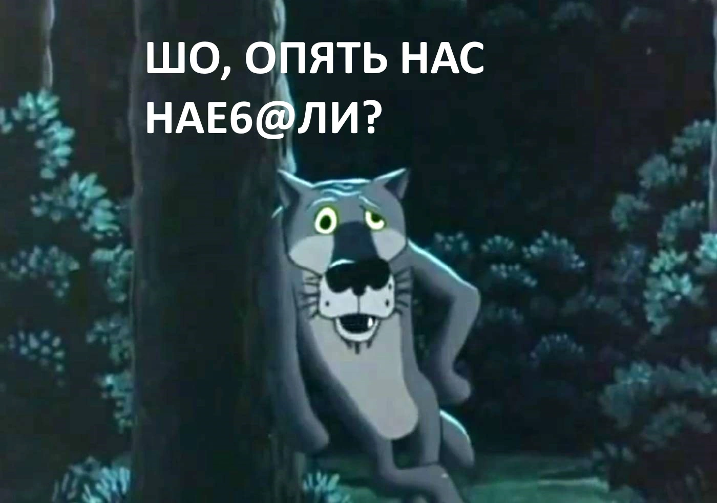 sho.webp