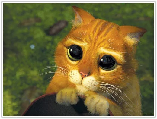 shrek_cat[1].webp