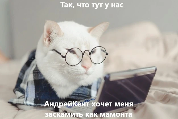 скам_1.webp