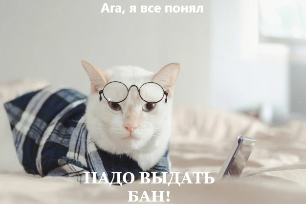 скам_2.webp