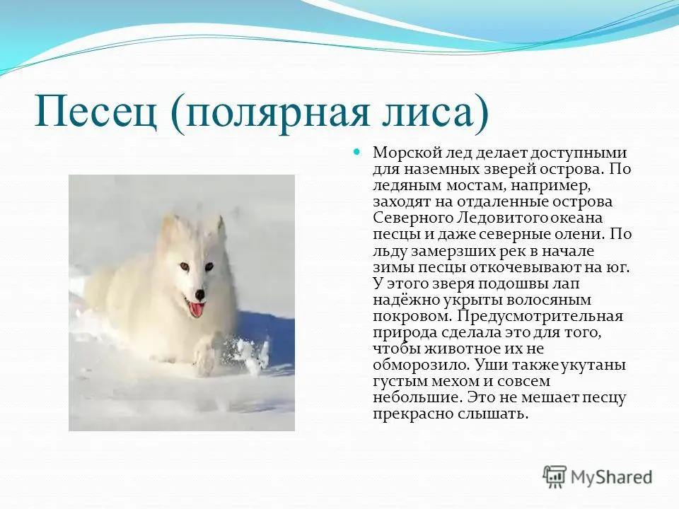 slide_14.webp
