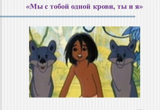 slide_3.webp
