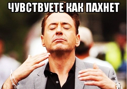 smell.webp