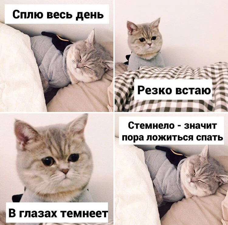 смешные-картинки-старость-7507474.webp