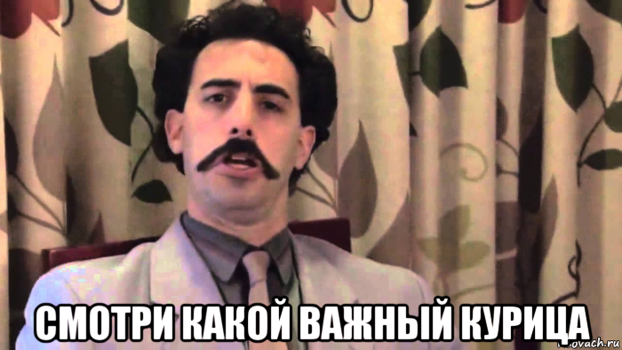 smotrite-kakoy-vazhnyy-kurica_247298885_orig_.webp