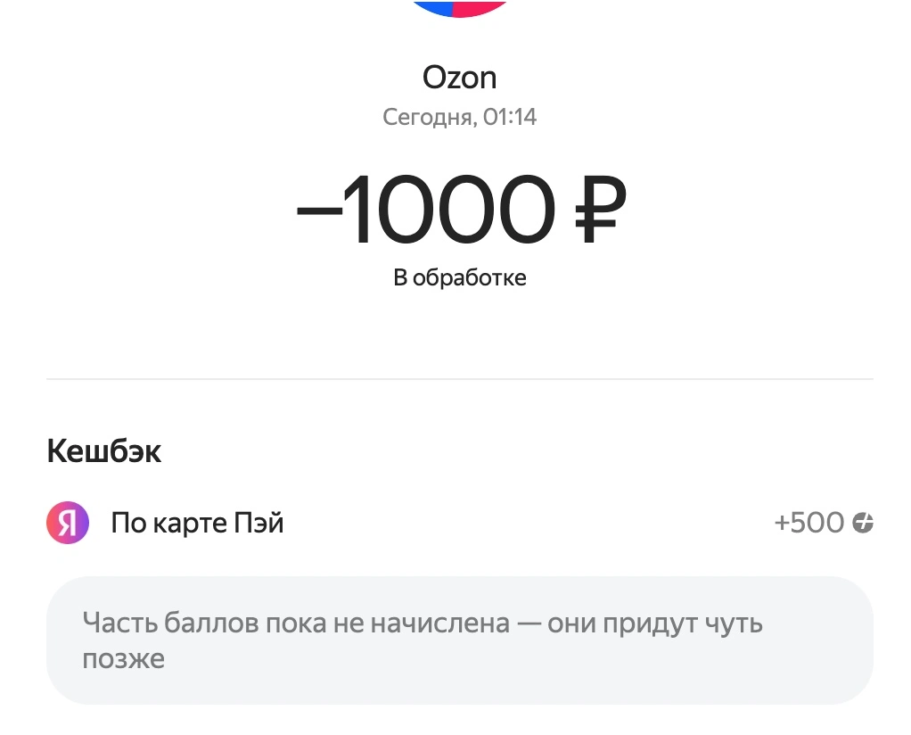 Снимок 21.11.2024 в 01.17.webp
