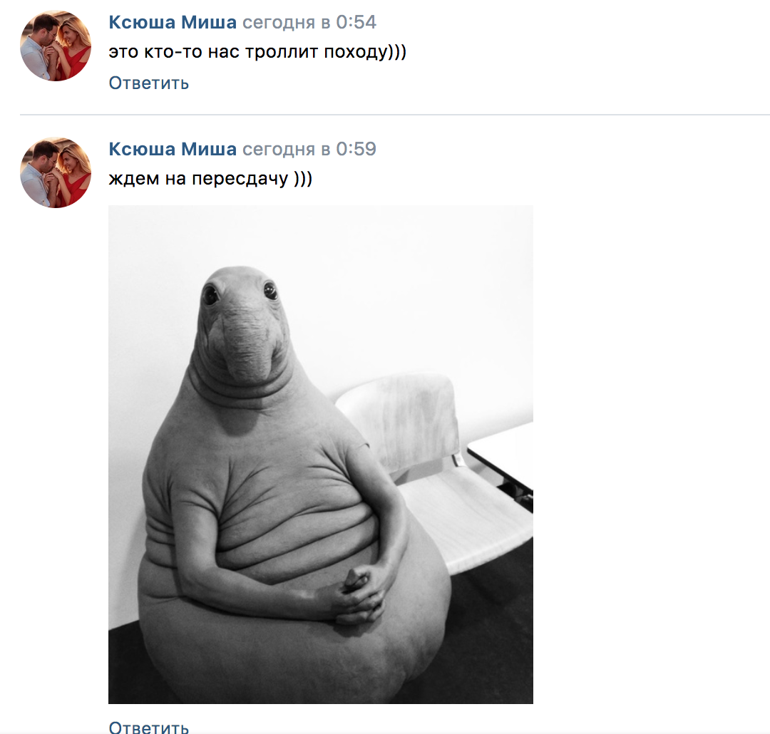 Снимок экрана 2023-01-17 в 1.05.06.webp