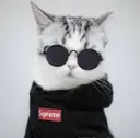 Снимок экрана 2024-01-13 235248.webp