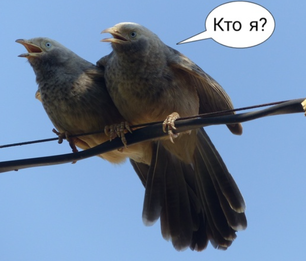 Снимок экрана 2024-07-01 225052.png