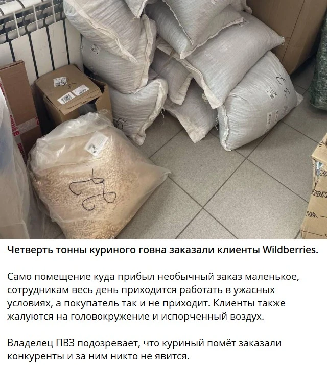 Снимок экрана 2024-08-08 170643.webp