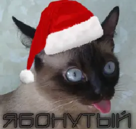 Снимок экрана 2024-12-28 222342.webp