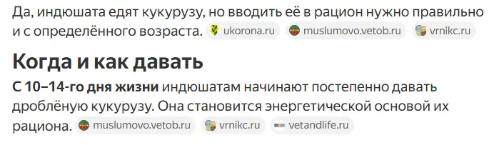 Снимок экрана 2026-10-12 212700.webp