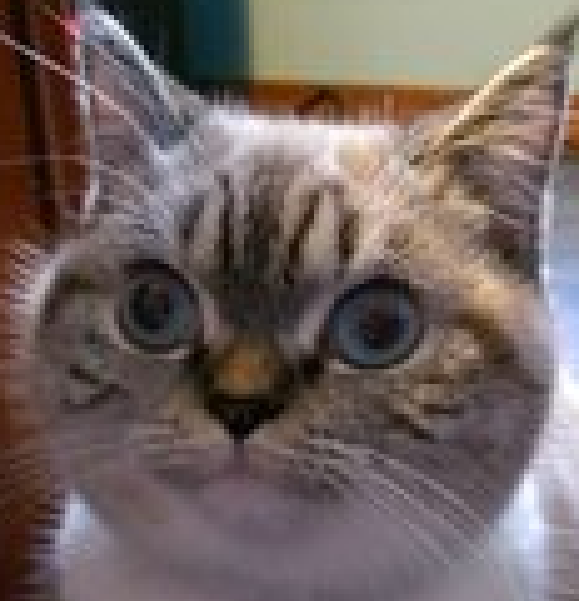 Снимок.webp