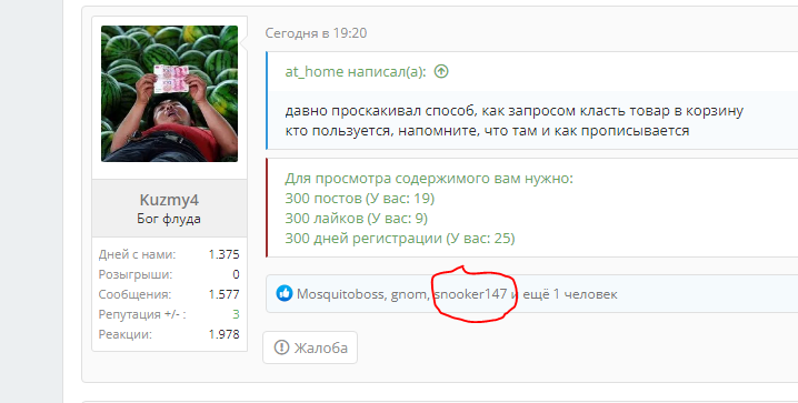 Снимок1.webp