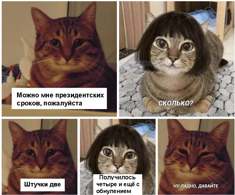 Снимок6546.webp
