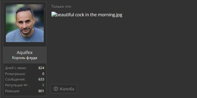 Сохраненное изображение 2023-3-21_16-0-56.331.webp