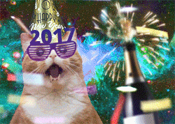 space_cat_2017_01_01.gif