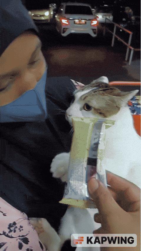 ssstik_io_1657955091536_V1 (1).gif