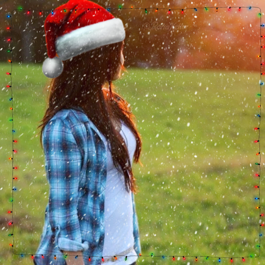 StallionRain.webp