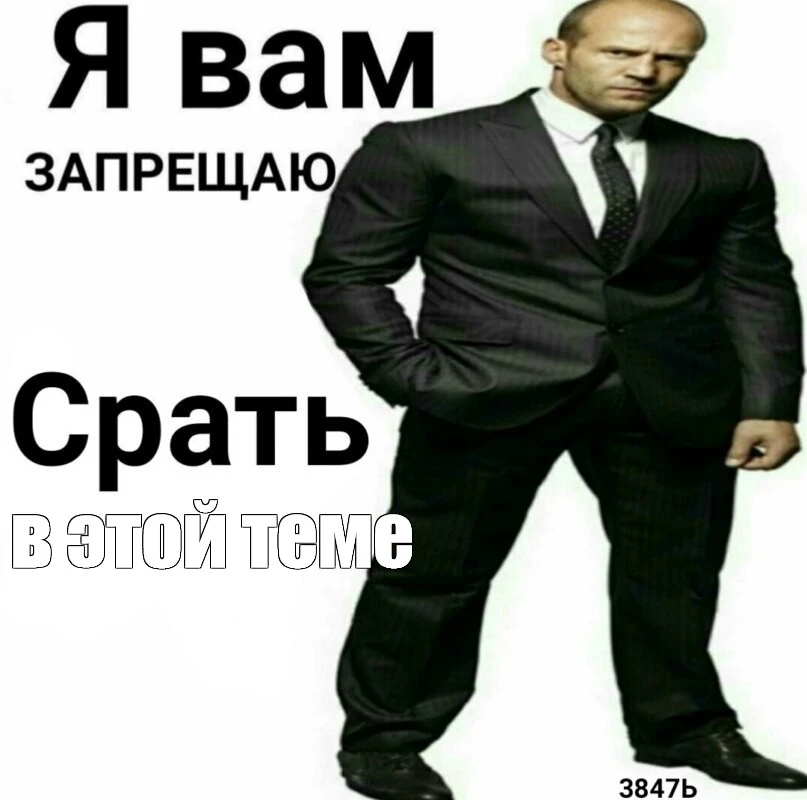 стет.webp