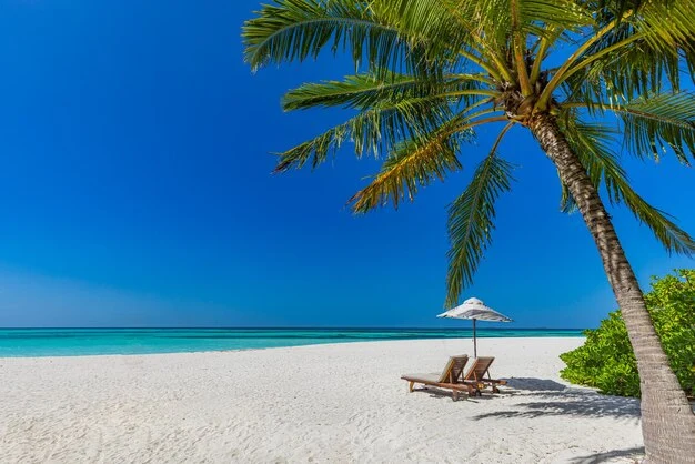 sunny-tropical-beach-nature-summer-island-with-lounge-chairs-palm-tree-leaves-amazing-sea-vie...webp