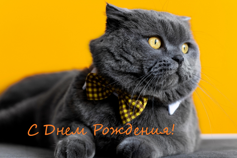ся.webp