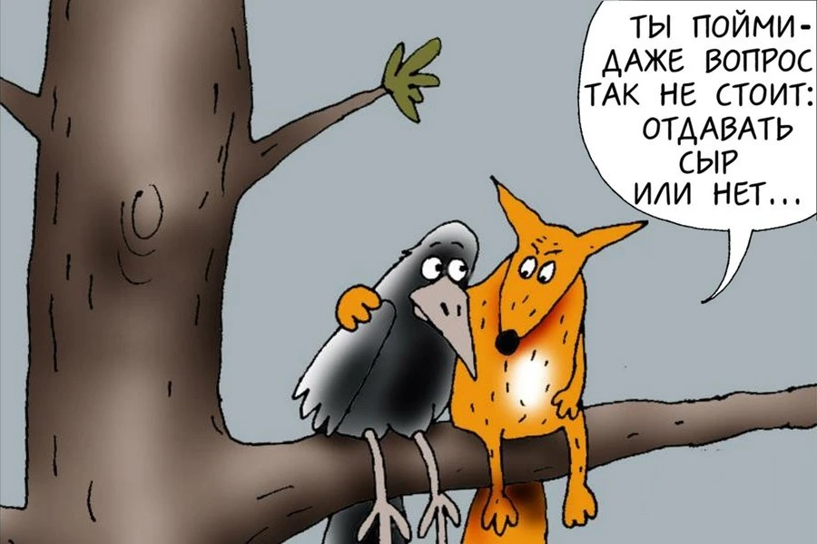 syr.webp