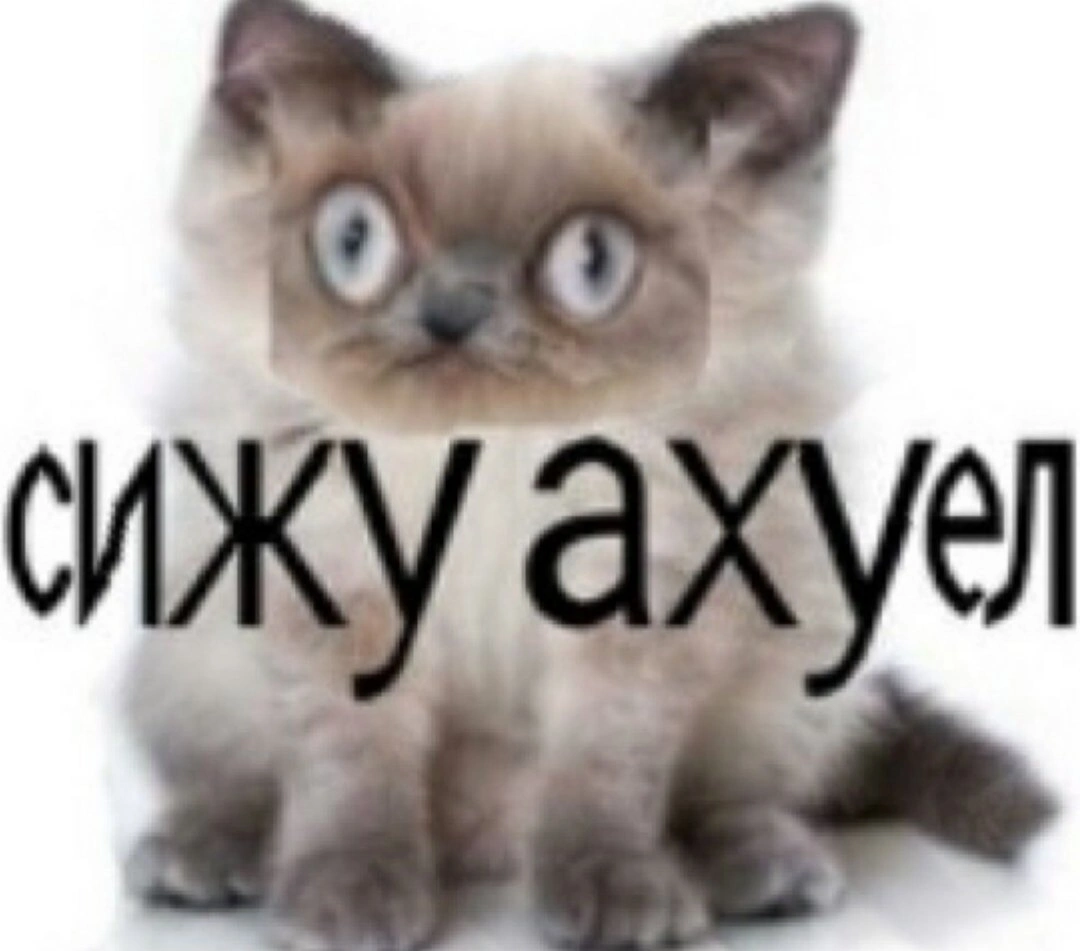 T1JUQOOv-gw.webp
