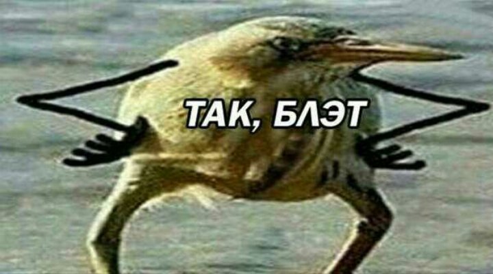 tak-blat.jpg