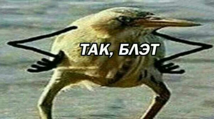 tak-blat.webp
