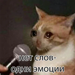 Telegram_puMibngUvv.webp