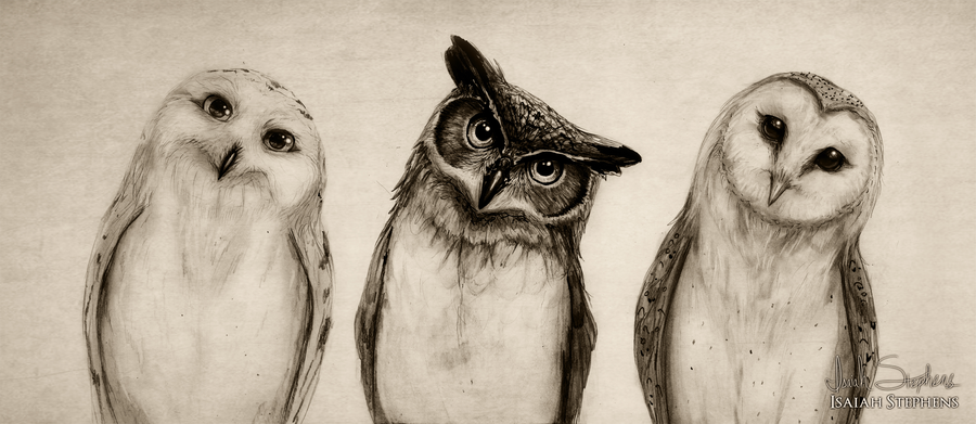 the_owls_three_by_isaiahstephens-d6v29am.webp