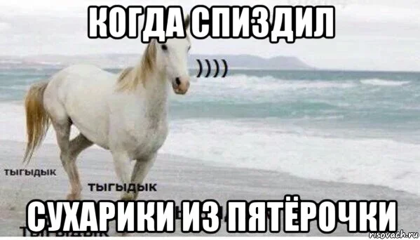 tigidik_109190277_orig_.webp