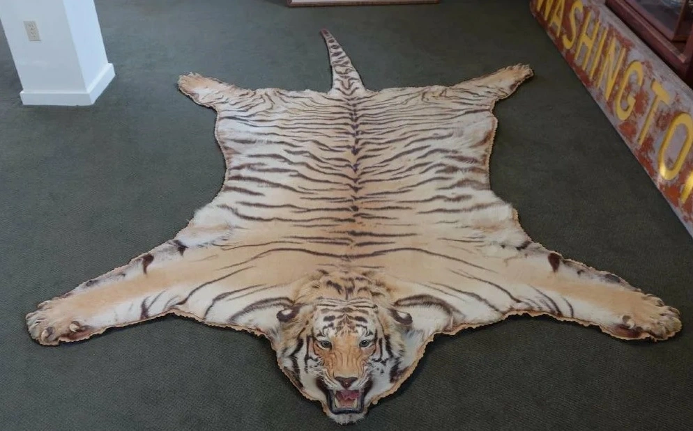 Tigr.webp
