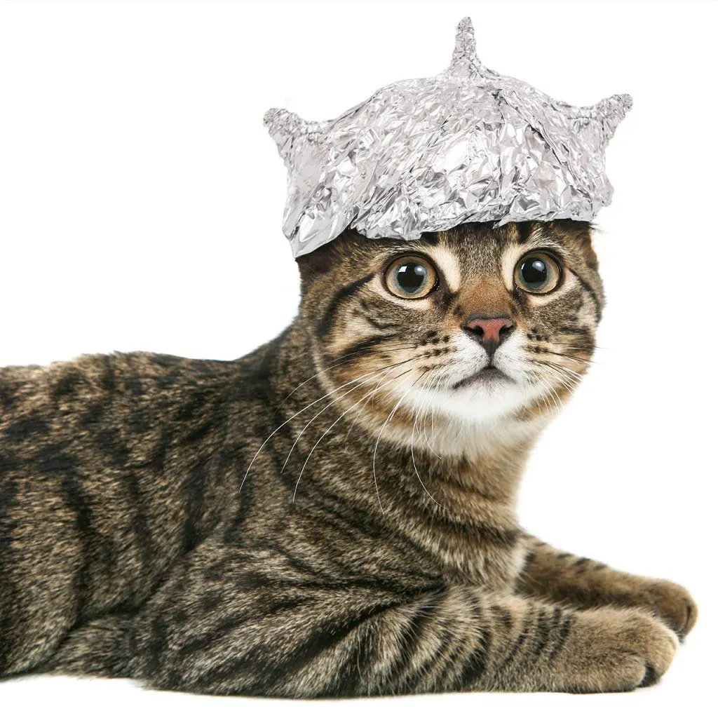 tinfoilhatday-4-1024x1024.webp