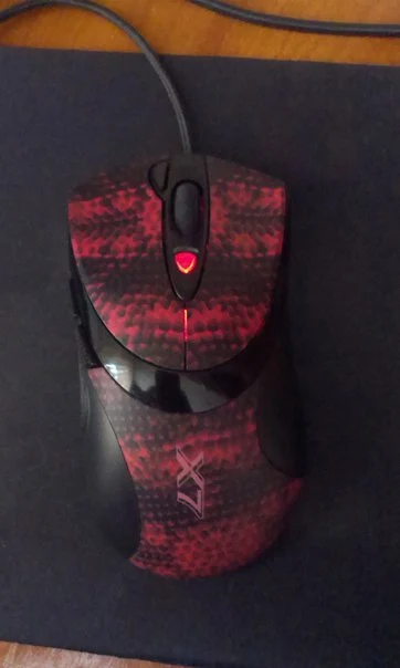 tnboQzgJrNY.webp