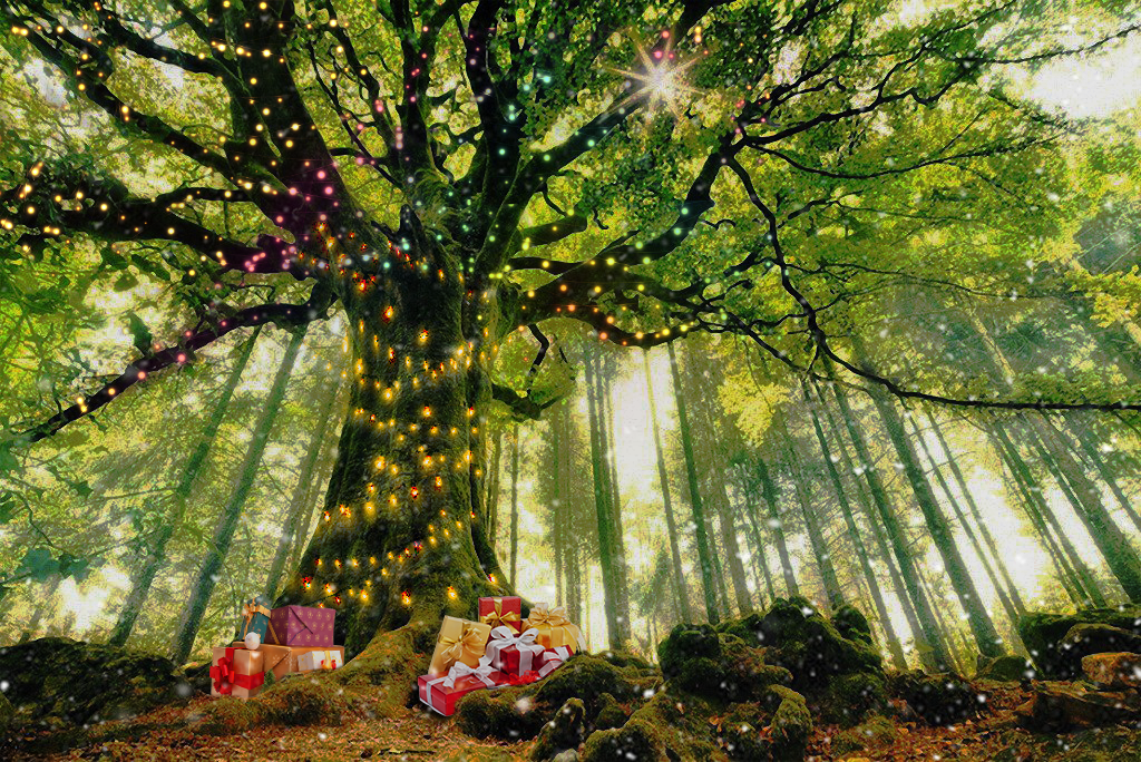trees13.png