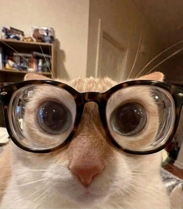 TuHcqoVj5sZtOIlhPiMEVVc3QAGRTe7k4_cJ687P2s28xRwKWfE5aHFgszPU-RRNQRn_bWjRdrndGrriLdOz0MGZ.webp