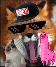 tumblr_ly38ppVtDx1qb6gpw.gif