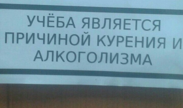 ucheba.webp