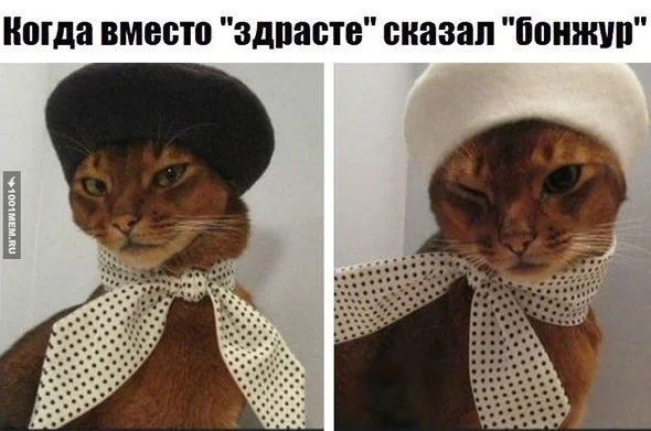 UdGQlm81emA.webp