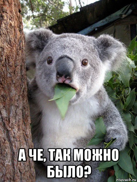 udivlennaya-panda_107405173_orig_.webp