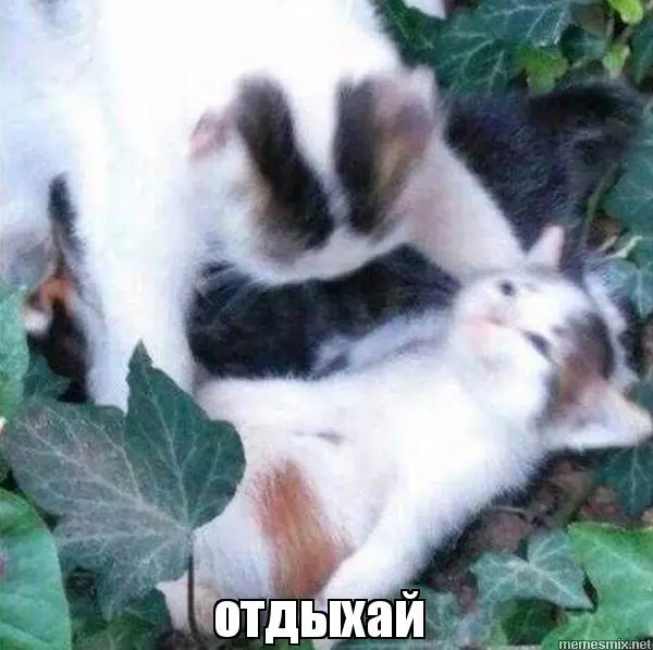 ukn24n.webp