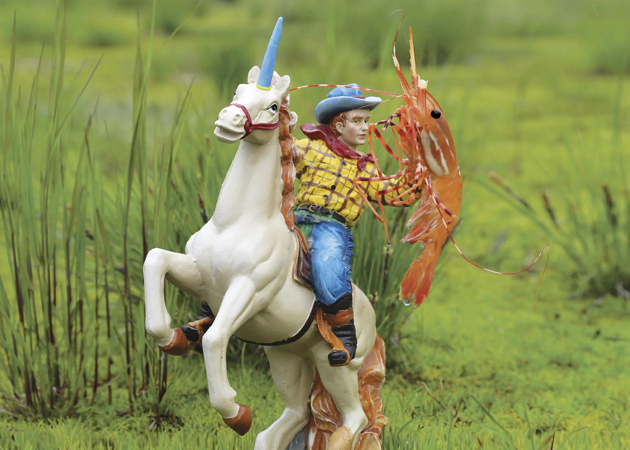 ++unicorn+card.webp