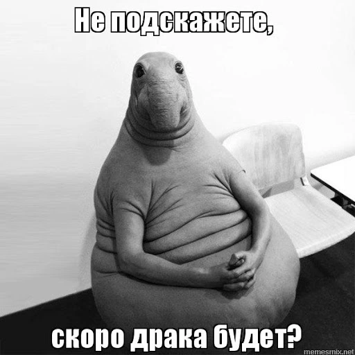 unnamed (1).webp