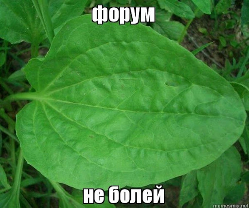 unnamed (2).webp