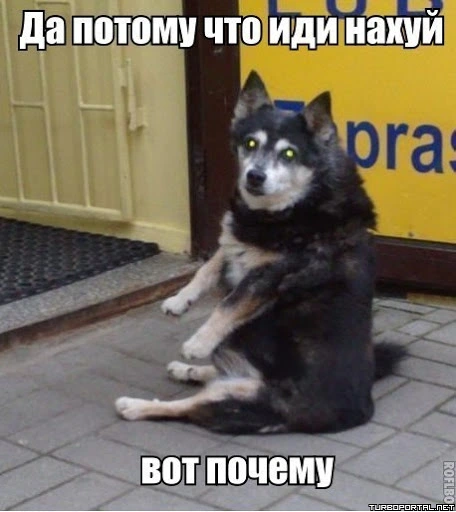 unnamed (5).webp